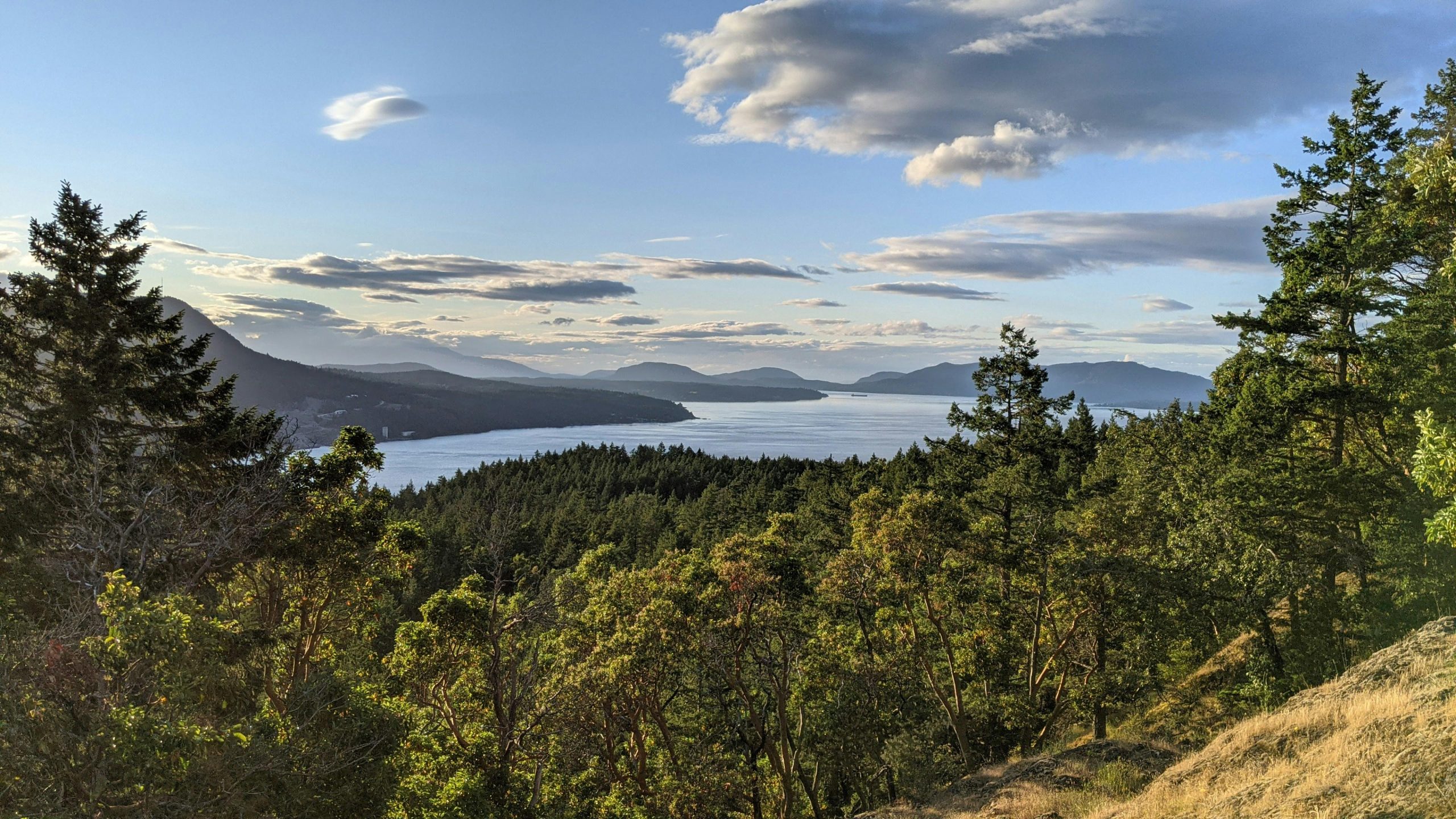 Discover the Beauty of Vancouver Island